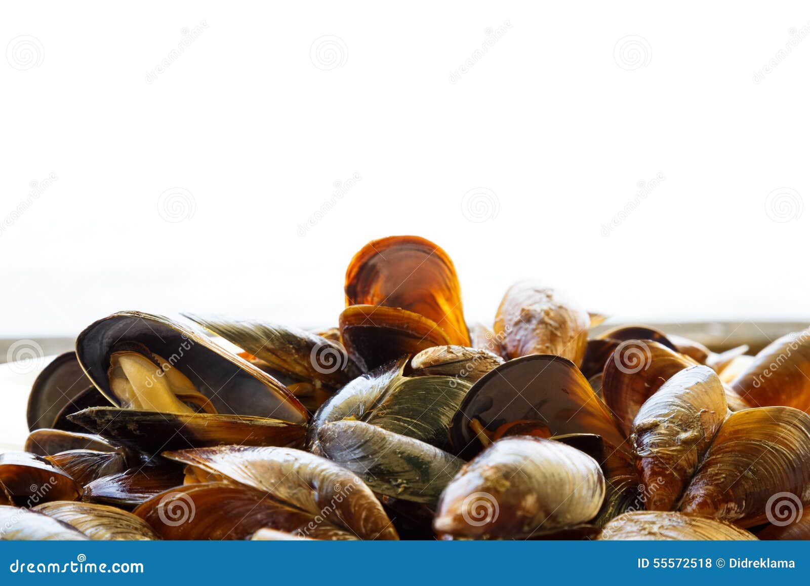 Steamed Mussels stock photo. Image of restaurant, steamed 55572518