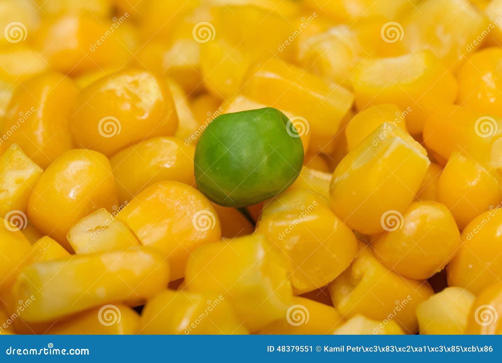 Steamed Organic Vegetable Medly with Peas, Corn and Beans Stock Image