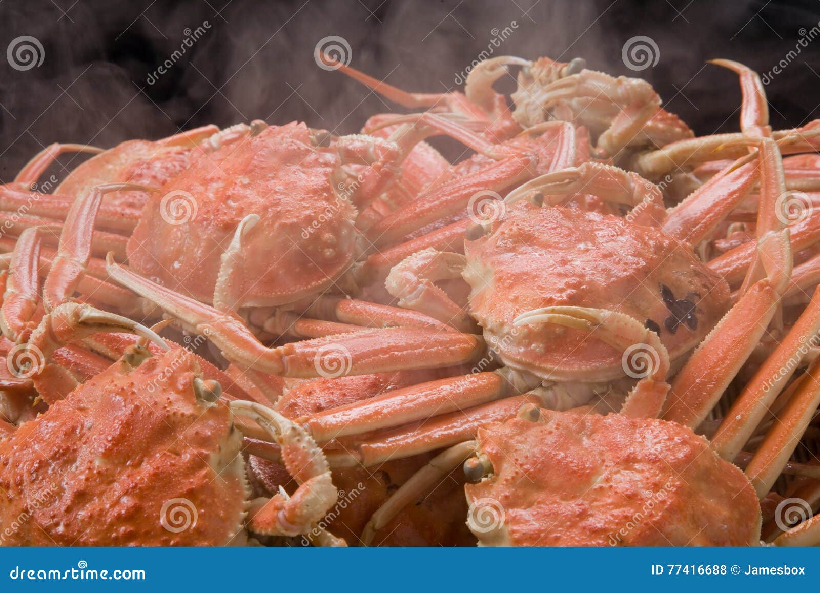 Steamed King Crab At The Southernmost City Of The World, Ushuaia