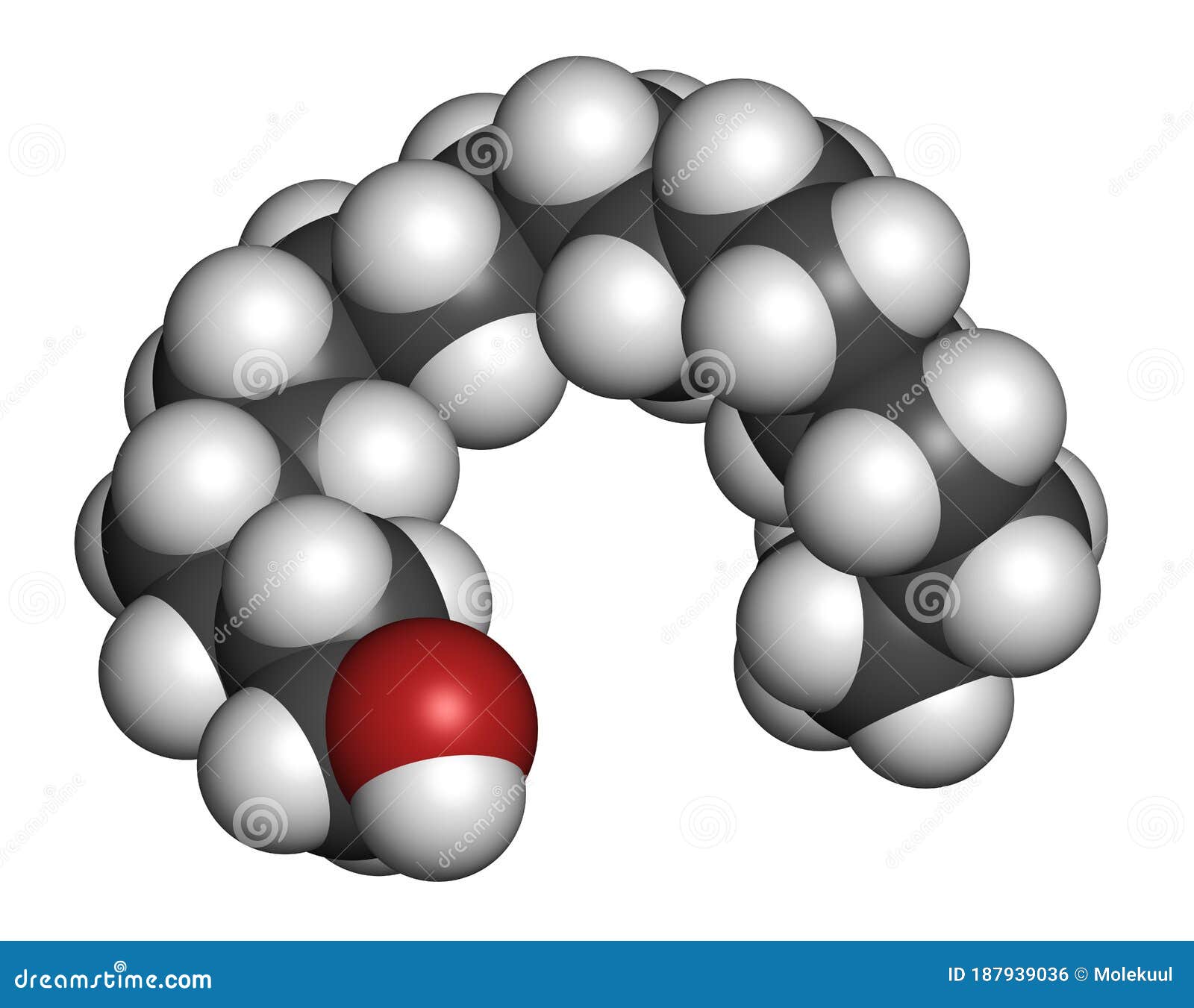 Cetyl alcohol molecule, illustration - Stock Image - F030/5196 - Science  Photo Library