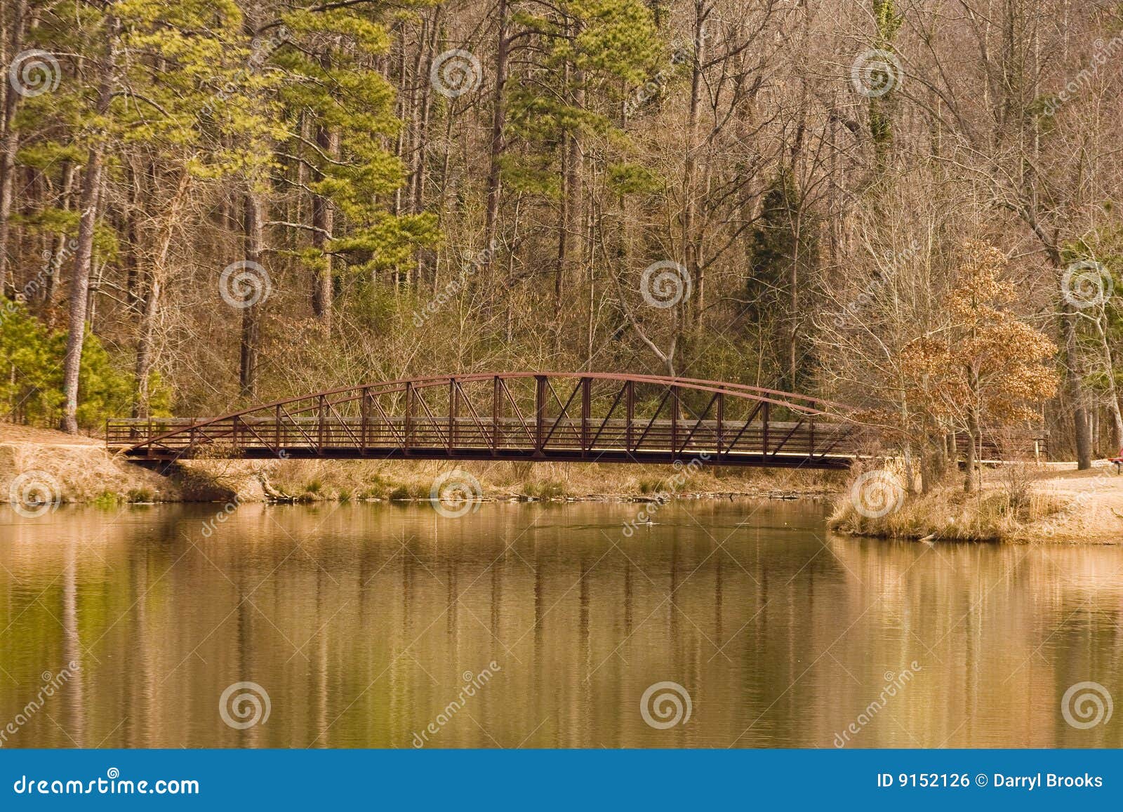 Steel Bridge in Winter stock photo. Image of forest, calm 9152126