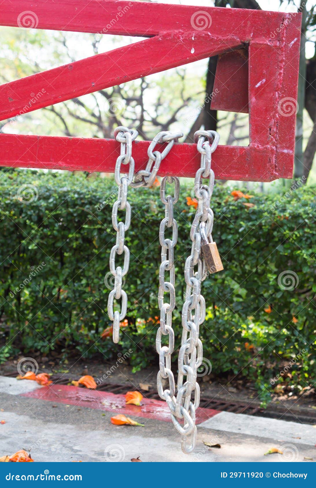 Steel Chain Cross Lock on Red Road Barrier Stock Photo Image of