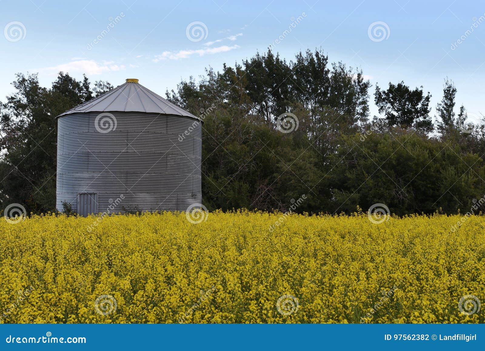 Steel Grain Storage Bin stock photo. Image of building 97562382