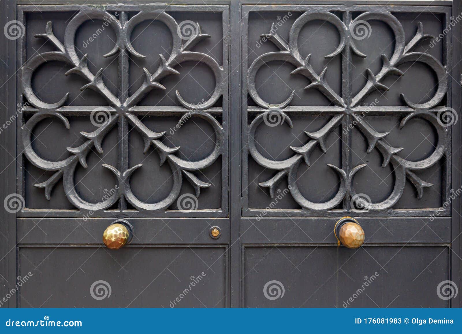 Steel, Iron Door Ancient Architectural Design. the Metal Gate ...