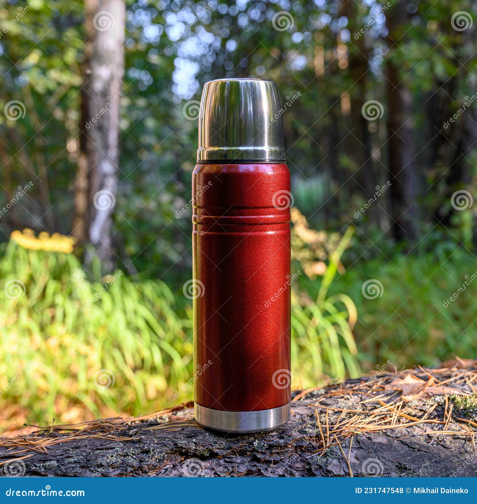 Steel Red Camping Thermos with Tea in the Forest Stock Photo Image of
