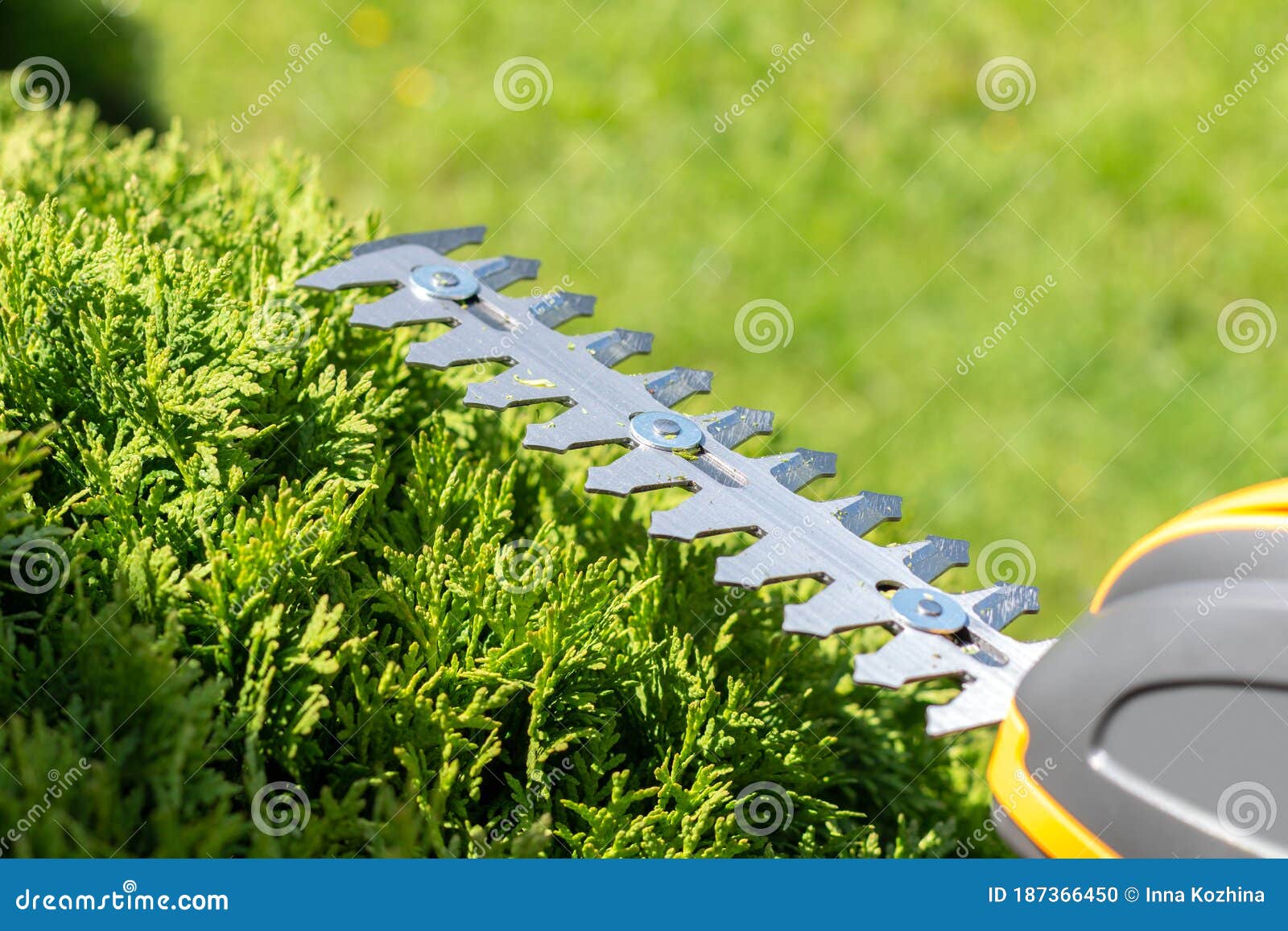 portable hedge trimmer