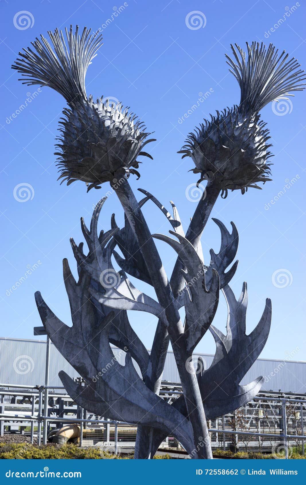 Steel Thistle Sculpture Edinburgh, Scotland Stock Photo
