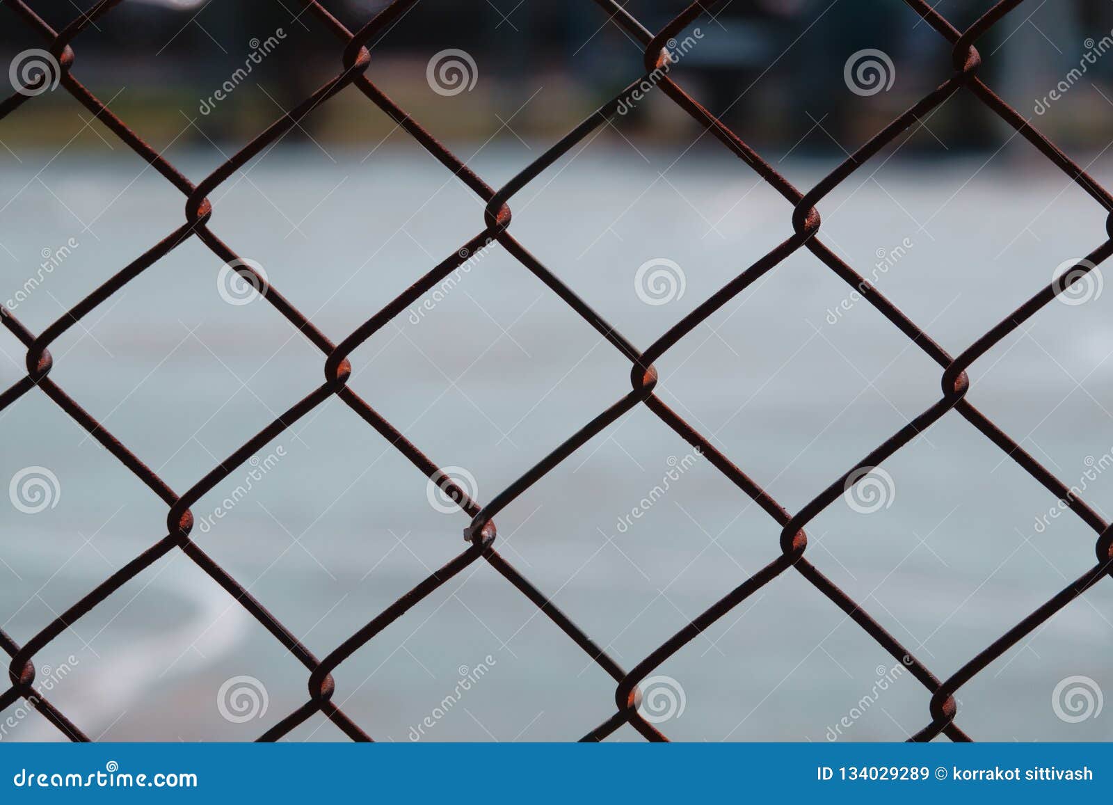 Steel Wire Net Fence With Blurred Green Background Stock Image - Image ...
