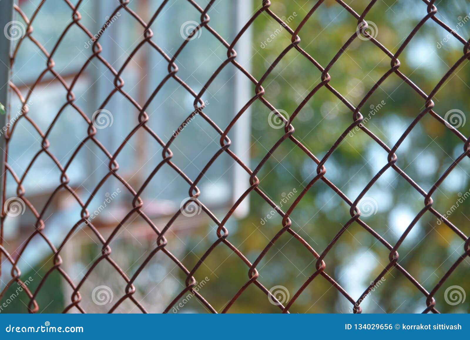 Steel Wire Net Fence With Blurred Green Background Stock Photo - Image ...

