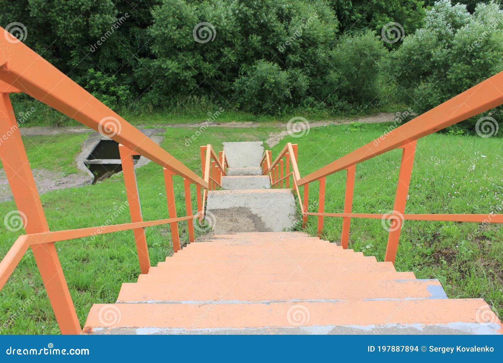 Wooden Steps On A Steep Hillside In The Forest Stock Photo, Picture and  Royalty Free Image. Image 36876055.