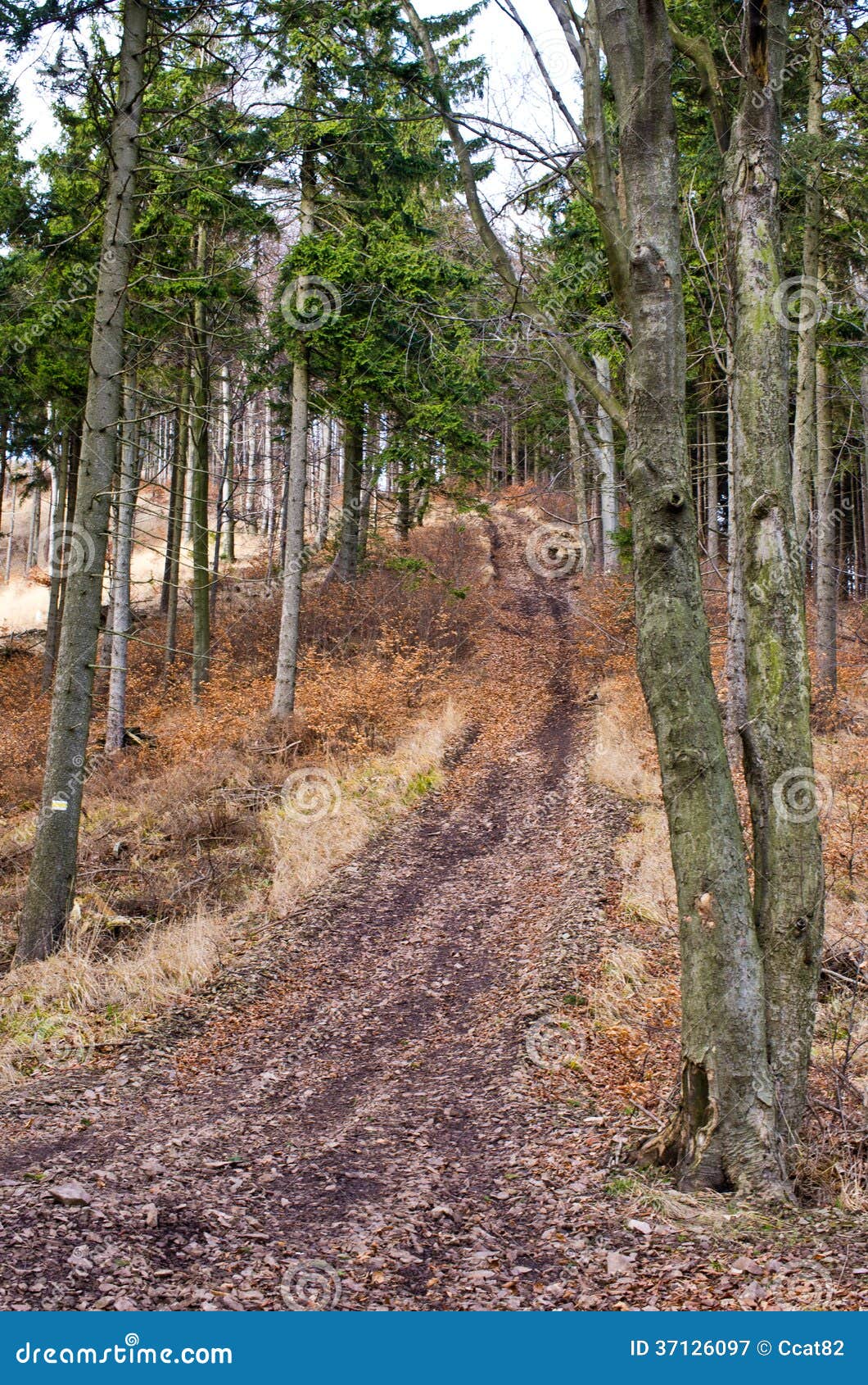 pilgrim path along steep steps to the … – License image – 70057520 ❘  lookphotos