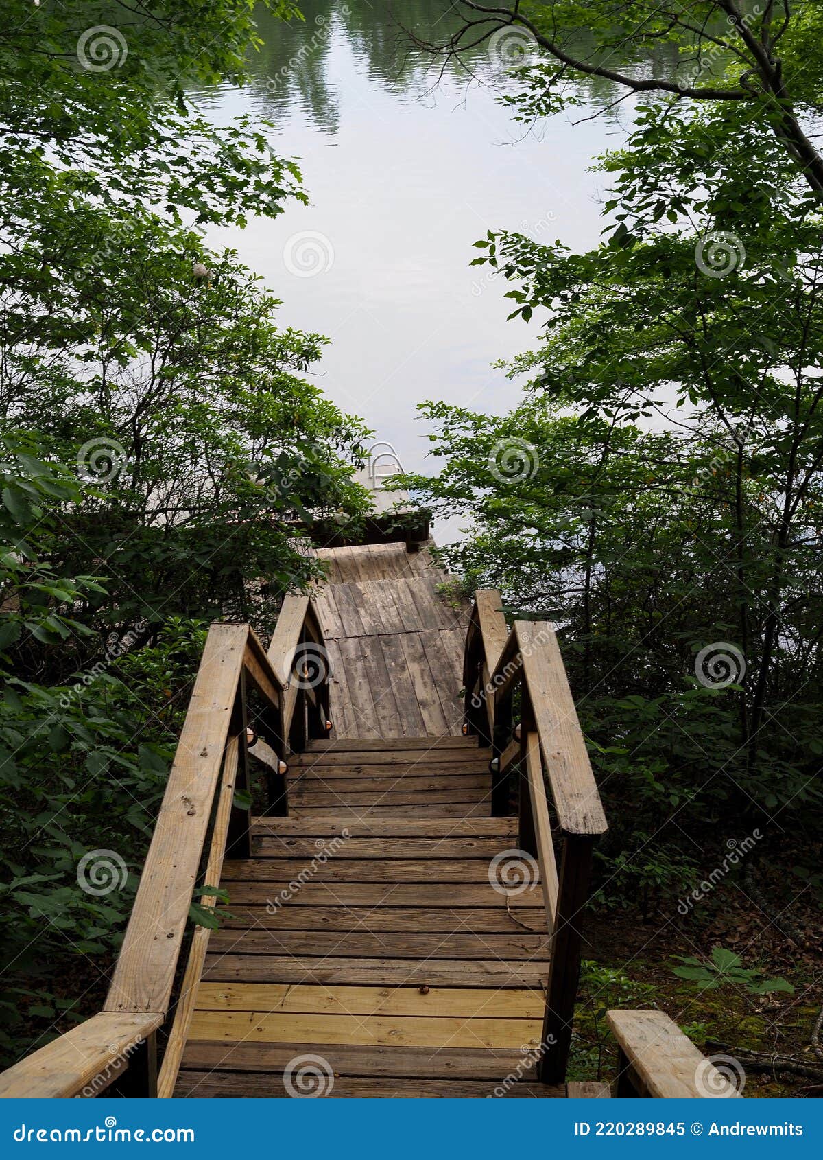 Steep Steps Leading To Lake Dock Stock Image - Image of steps, pond:  220289845