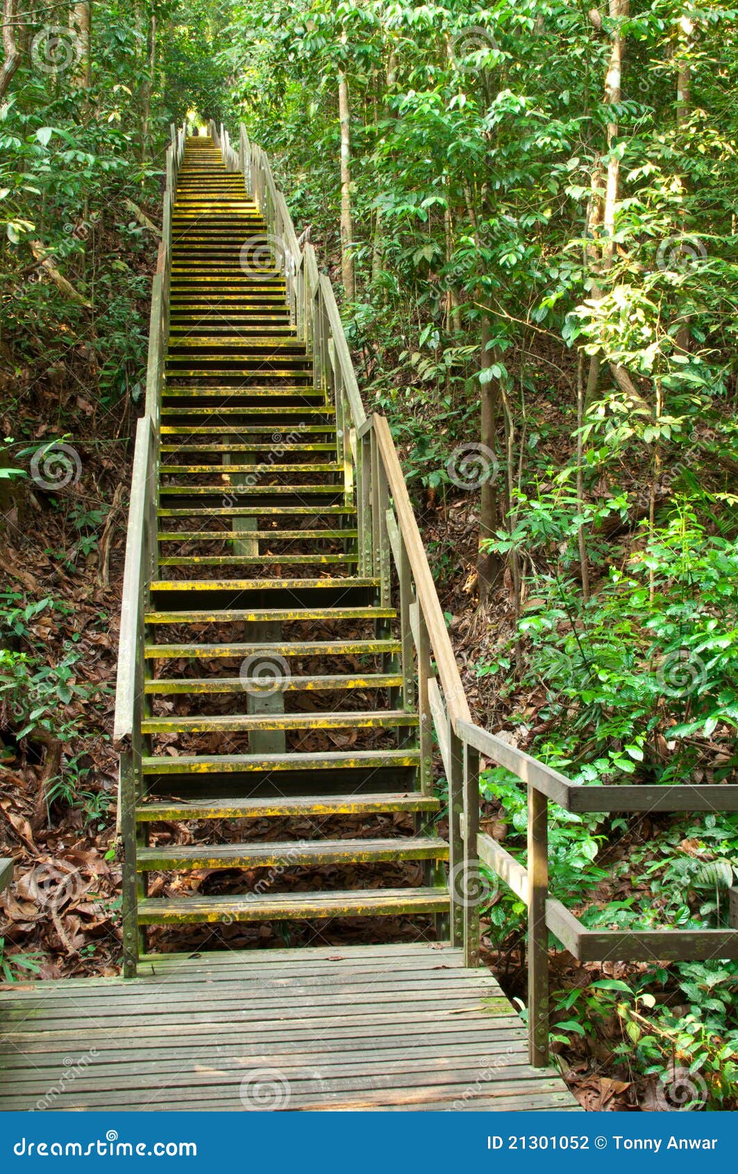 Steep Wooden Staircase Challenge Stock Photography Image 21301052
