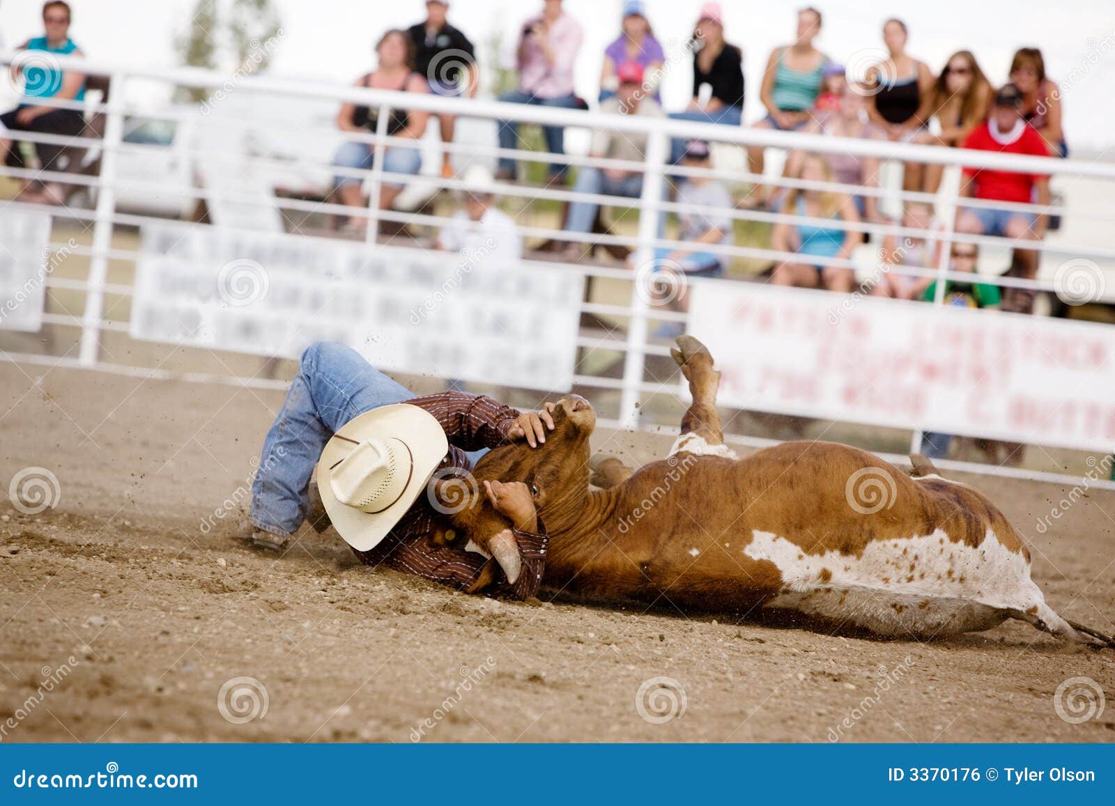 Steer Wrestling stock photo. Image of sport, horn, prairie 3370176