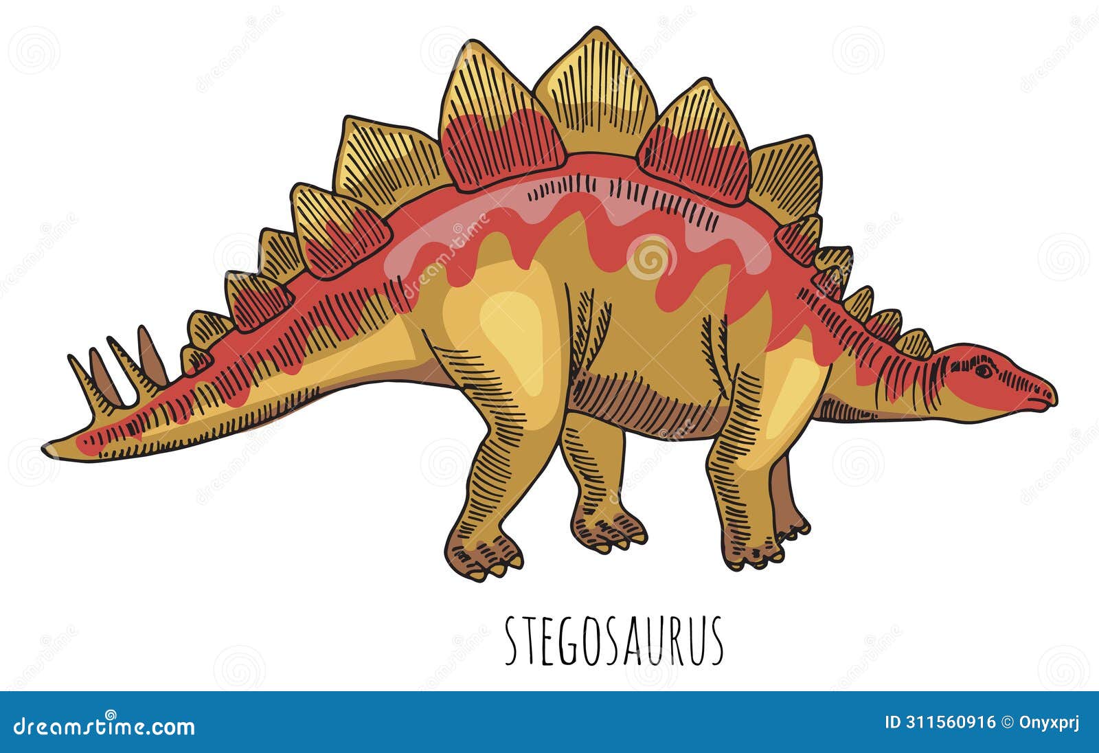 stegosaur dinosaur color drawing. wild ancient herbivore