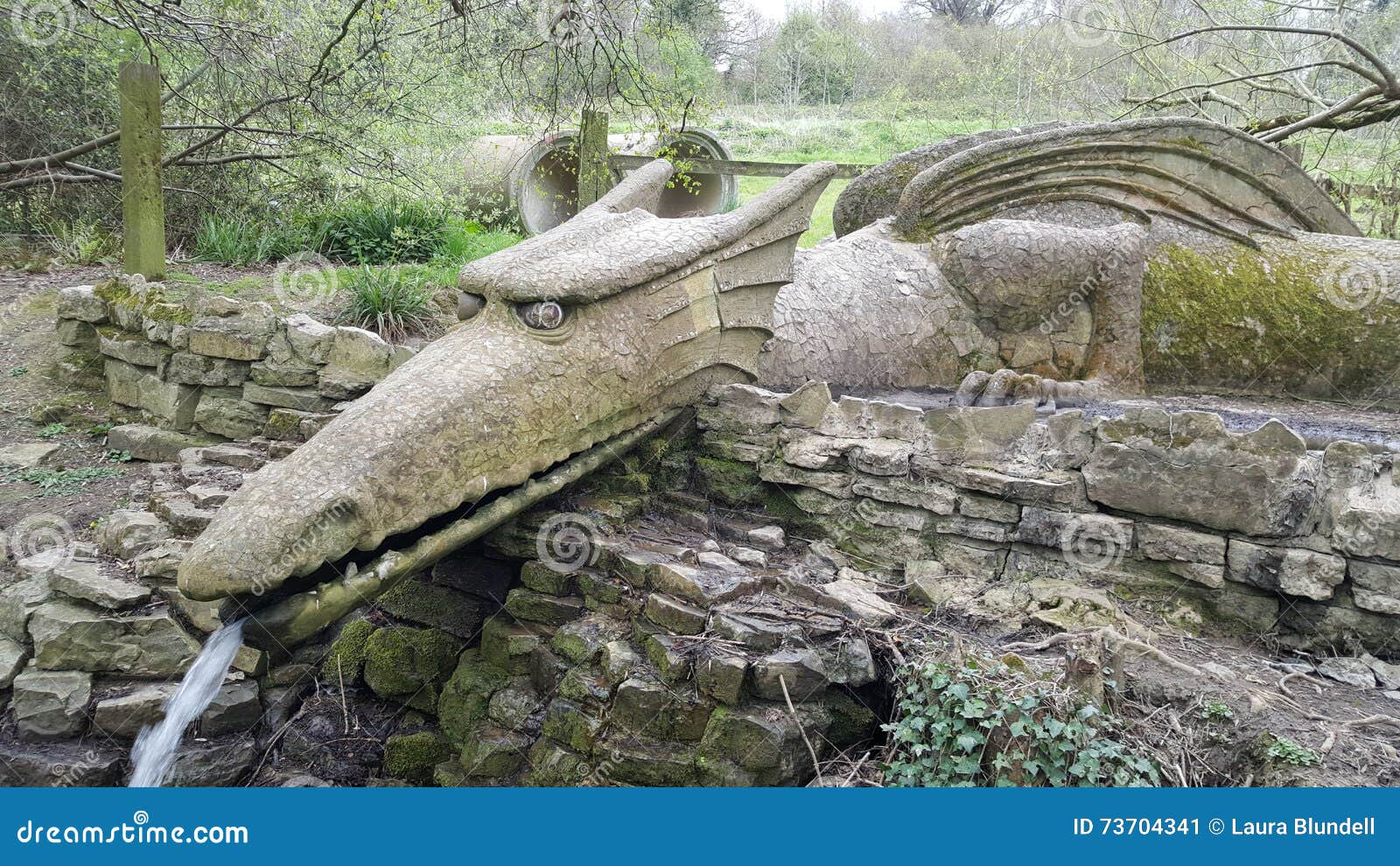 Steindrache stockbild. Bild von drache, teich, wasser 73704341