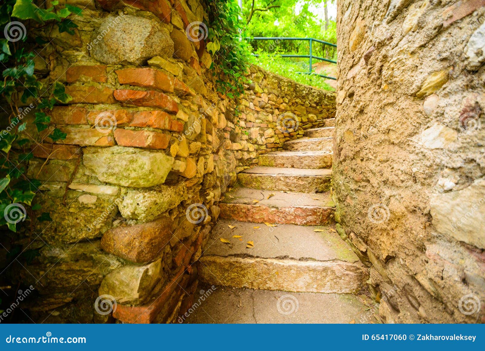 Steintreppe im Garten stockfoto. Bild von landschaftsgestaltung 65417060