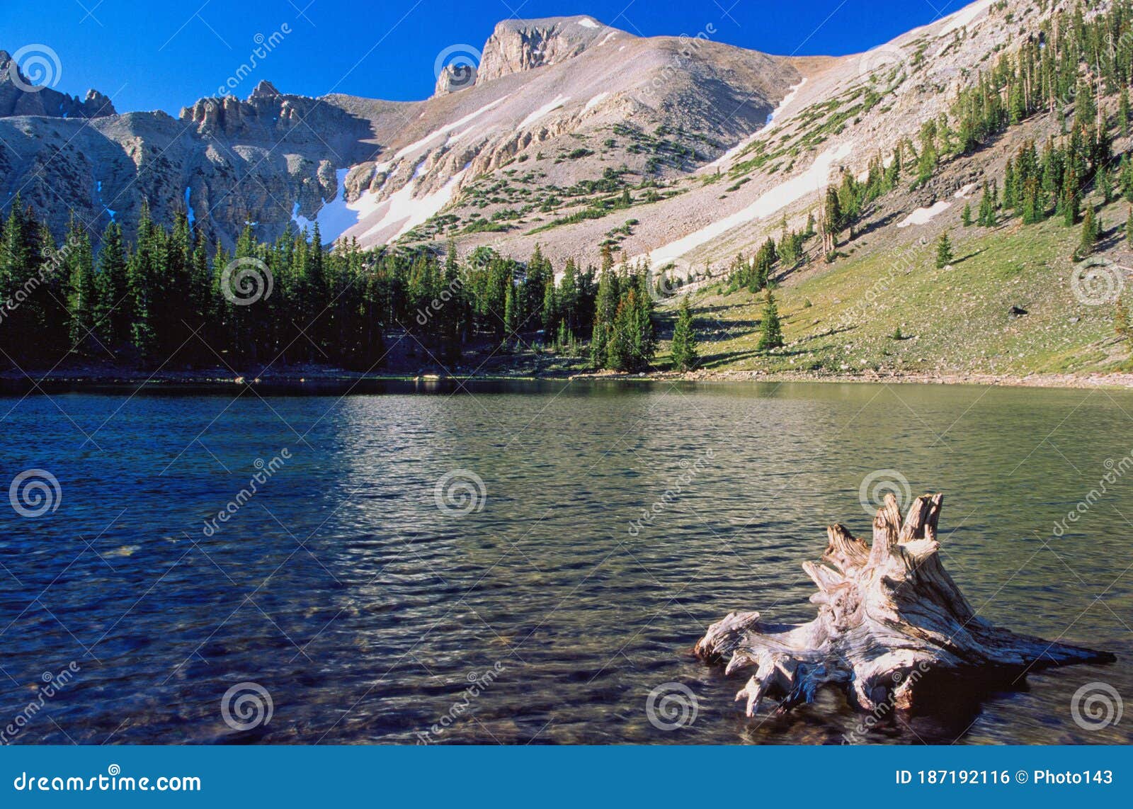 stella lake and driftwood, great basin national park