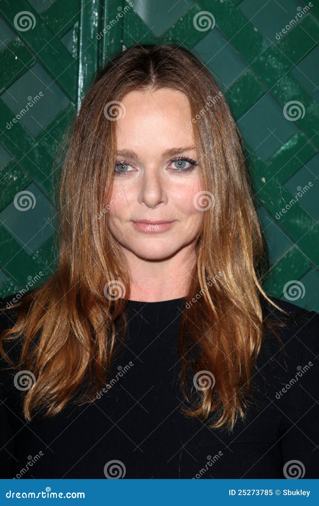 Stella McCartney at the editorial image. Image of west - 25273785