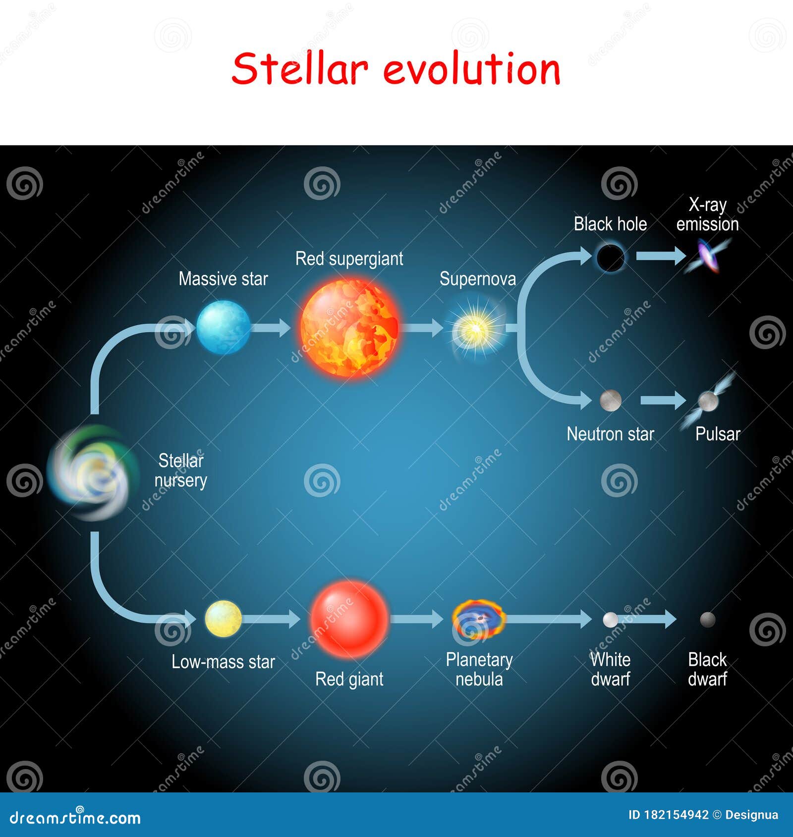 stellar evolution. life cycle of a star