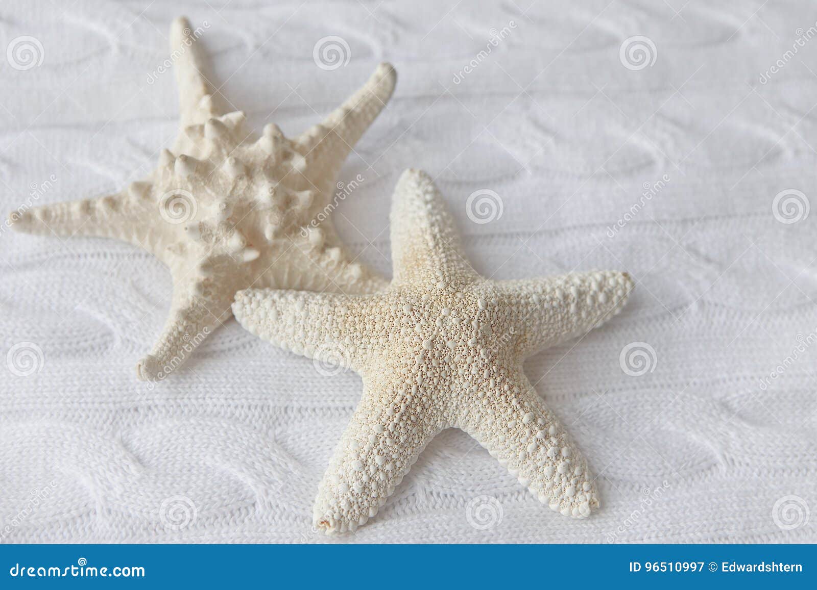 Stelle Marine Bianche Decorative Su Un Fondo Dei Tessuti Tricottati  Immagine Stock - Immagine di ornamento, fuoco: 96510997