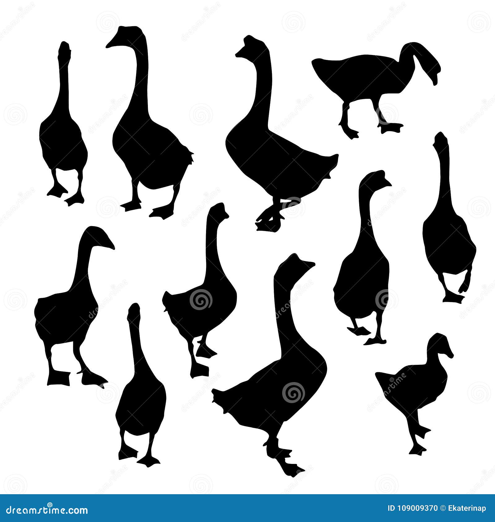 Stellen Sie Ganse Gansschattenbild Der Schwarzen Ente Auf Weissem Hintergrund Ein Vektor Vektor Abbildung Illustration Von Weissem Hintergrund