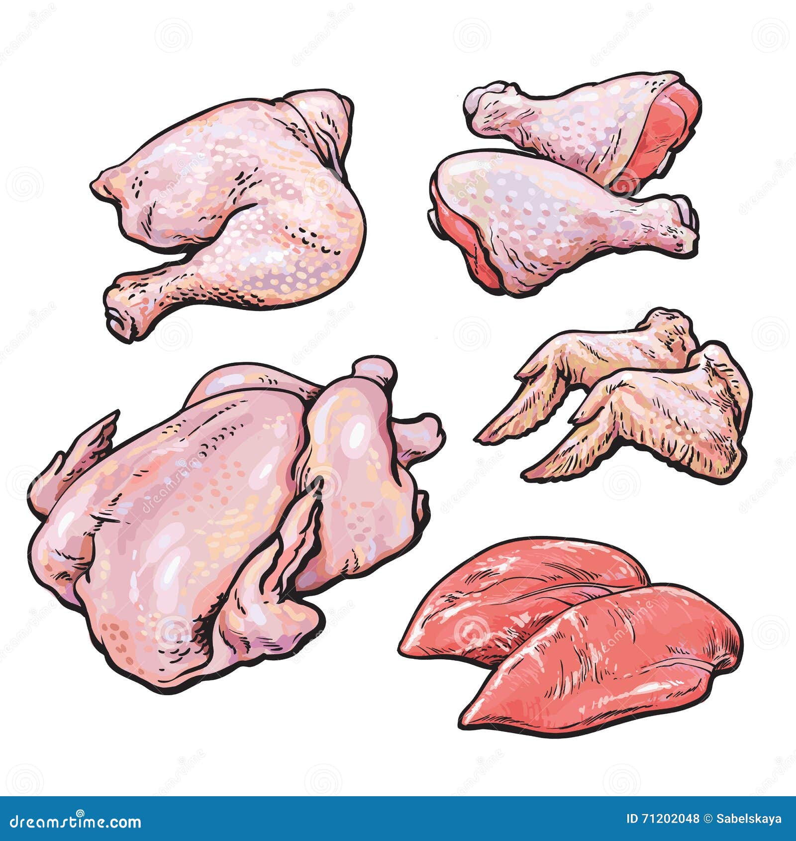 Stellen Sie Huhn Auf Einem Weissen Hintergrund Ein Vektor Abbildung Illustration Von Weissen Huhn 7148