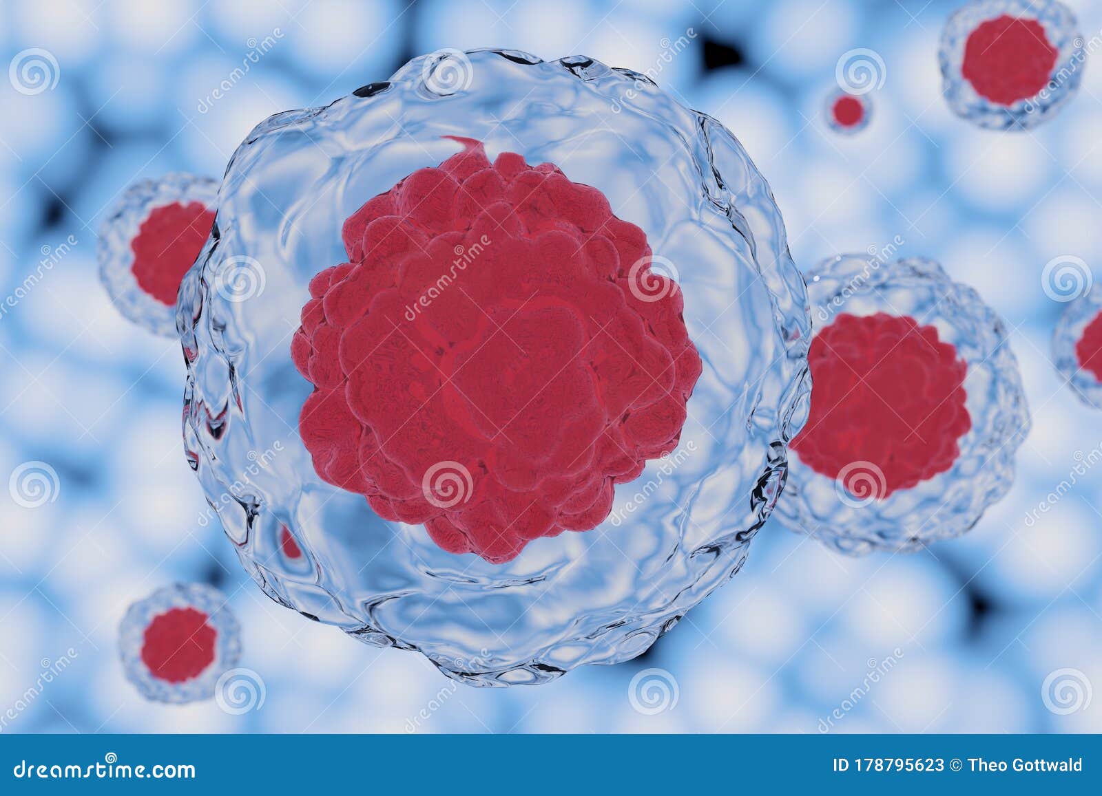 stem cell background