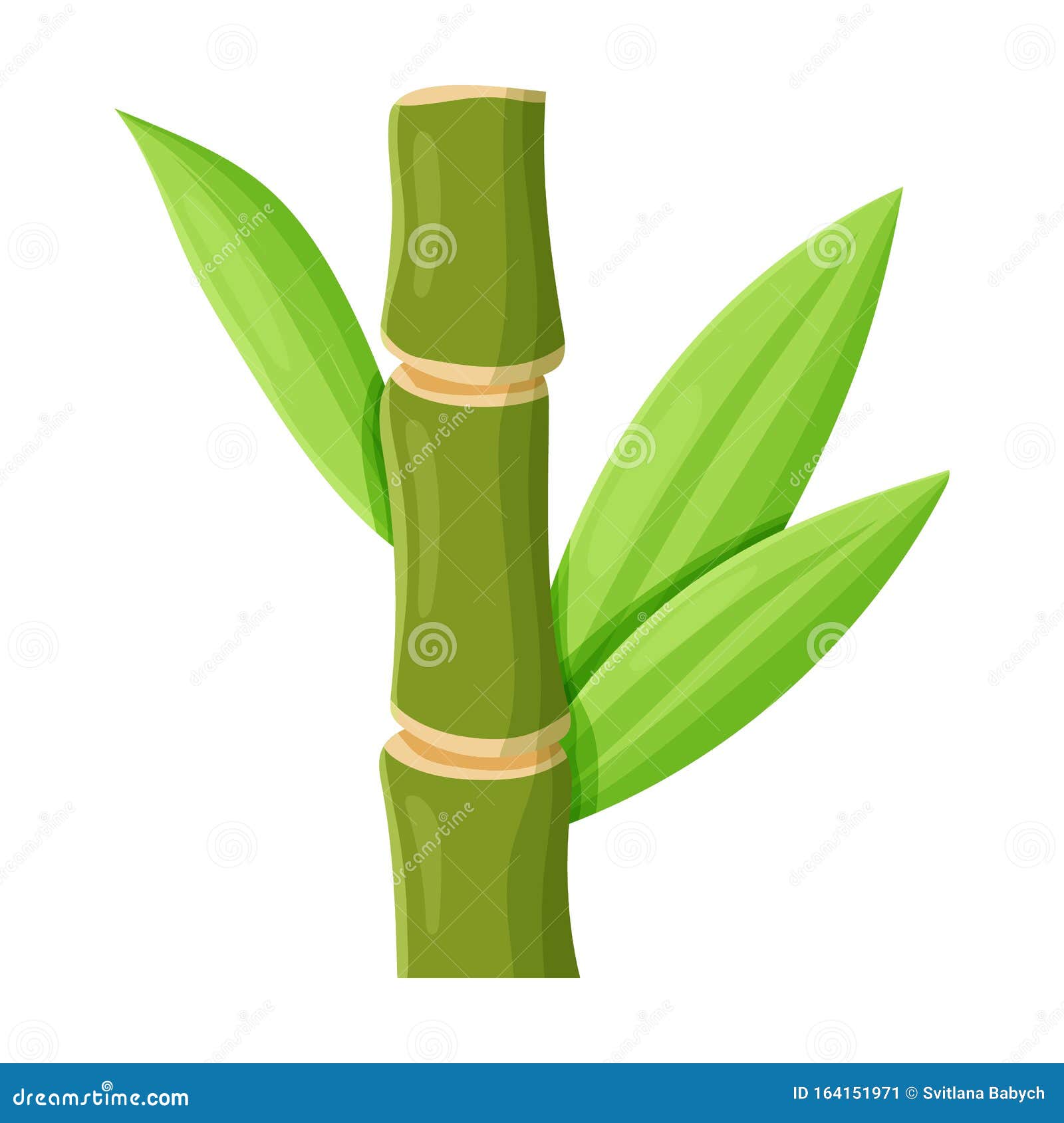 Stem of Sugar Cane Vector Vector Icon Isolated on White Background Stem of Sugar Cane . Stock Vector - Illustration of harvest, round: 164151971 Stem of Sugar Cane Vector Vector Icon Isolated on White Background Stem of Sugar Cane . Stock Vector - Illustration of harvest, round: 164151971