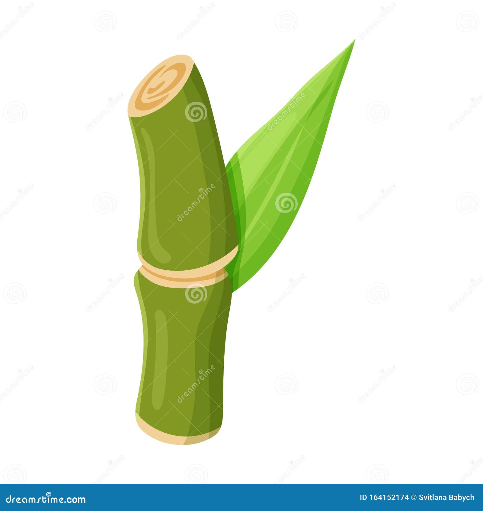 Stem of Sugar Cane Vector Vector Icon Isolated on White Background Stem of Sugar Cane . Stock Vector - Illustration of round, isolated: 164152174 Stem of Sugar Cane Vector Vector Icon Isolated on White Background Stem of Sugar Cane . Stock Vector - Illustration of round, isolated: 164152174