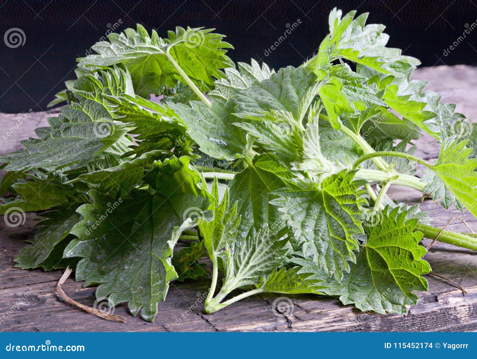 Nettle Fresh with Stems on the Board Stock Photo Image of healthy