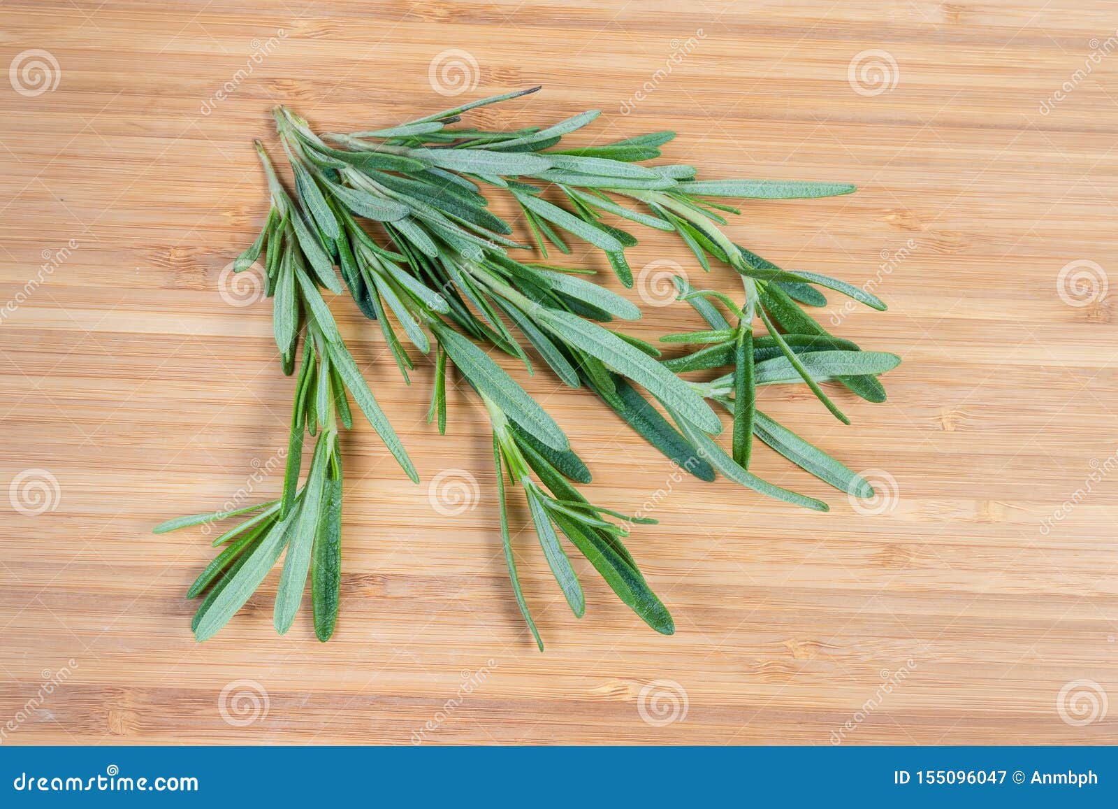 Stems of Fresh Rosemary on a Wooden Surface Stock Image Image of