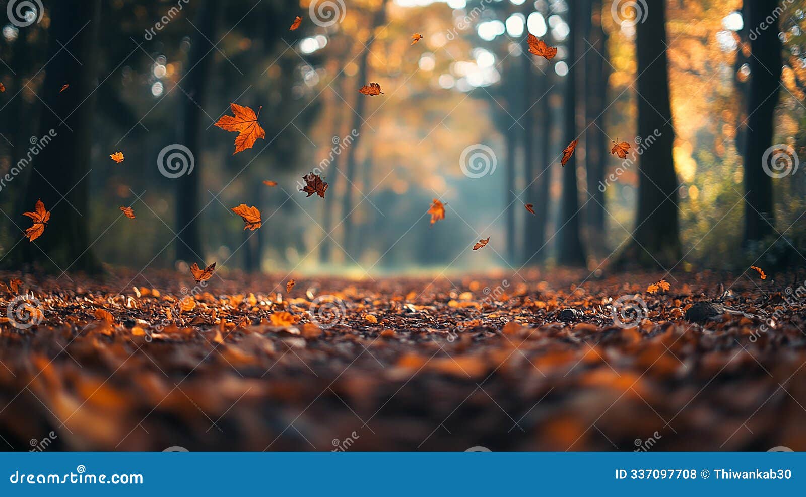 golden fall: green and orange leaves in a dreamy forest landscape