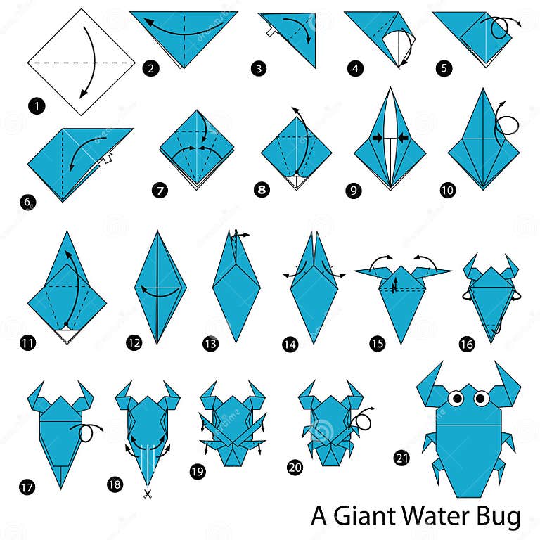 Step by Step Instructions How To Make Origami a Giant Water Bug Stock