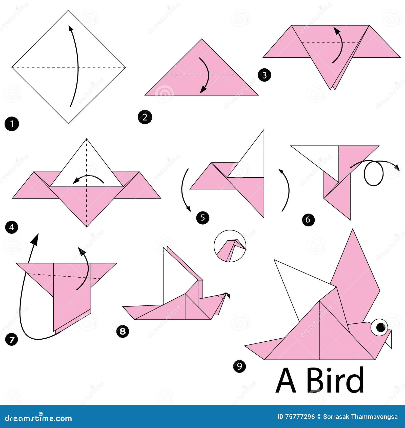 Step By Step Instructions How To Make Origami A Bird. Stock Vector Illustration of graphic