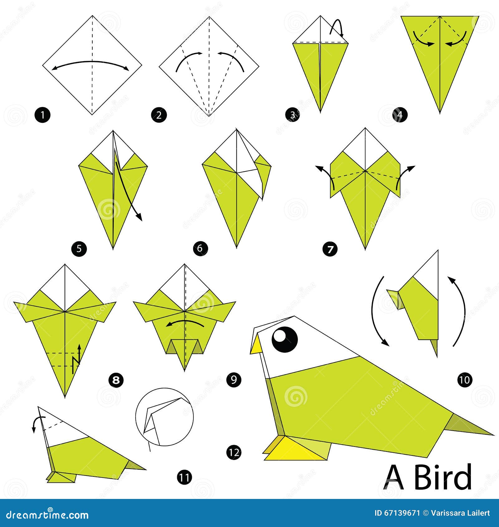 Step By Step Instructions How To Make Origami A Bird Stock