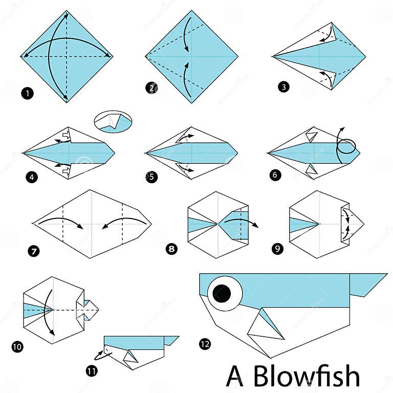 Step by Step Instructions How To Make Origami a Blow Fish. Stock Vector ...