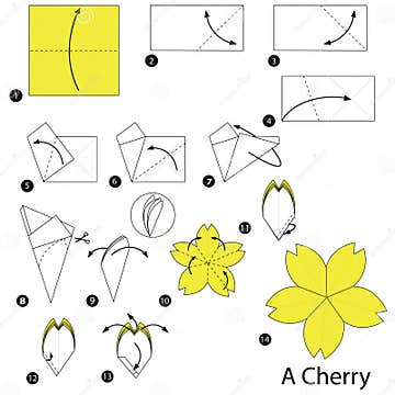 Step by Step Instructions How To Make Origami a Cherry Stock Vector ...