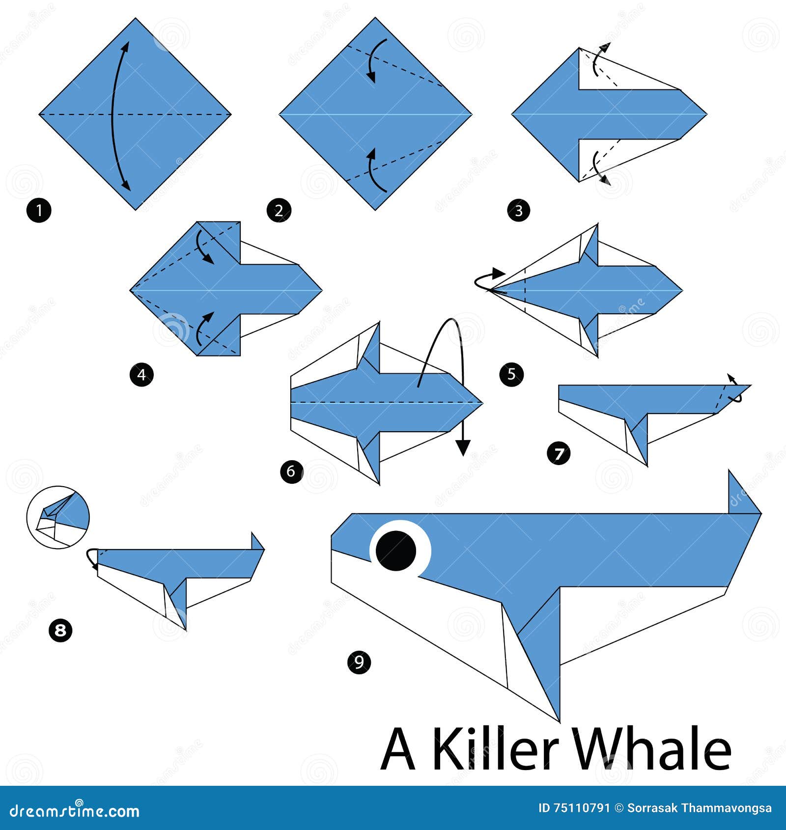 Step by Step Instructions How To Make Origami a Killer Whale. Stock Vector  - Illustration of element, head: 75110791