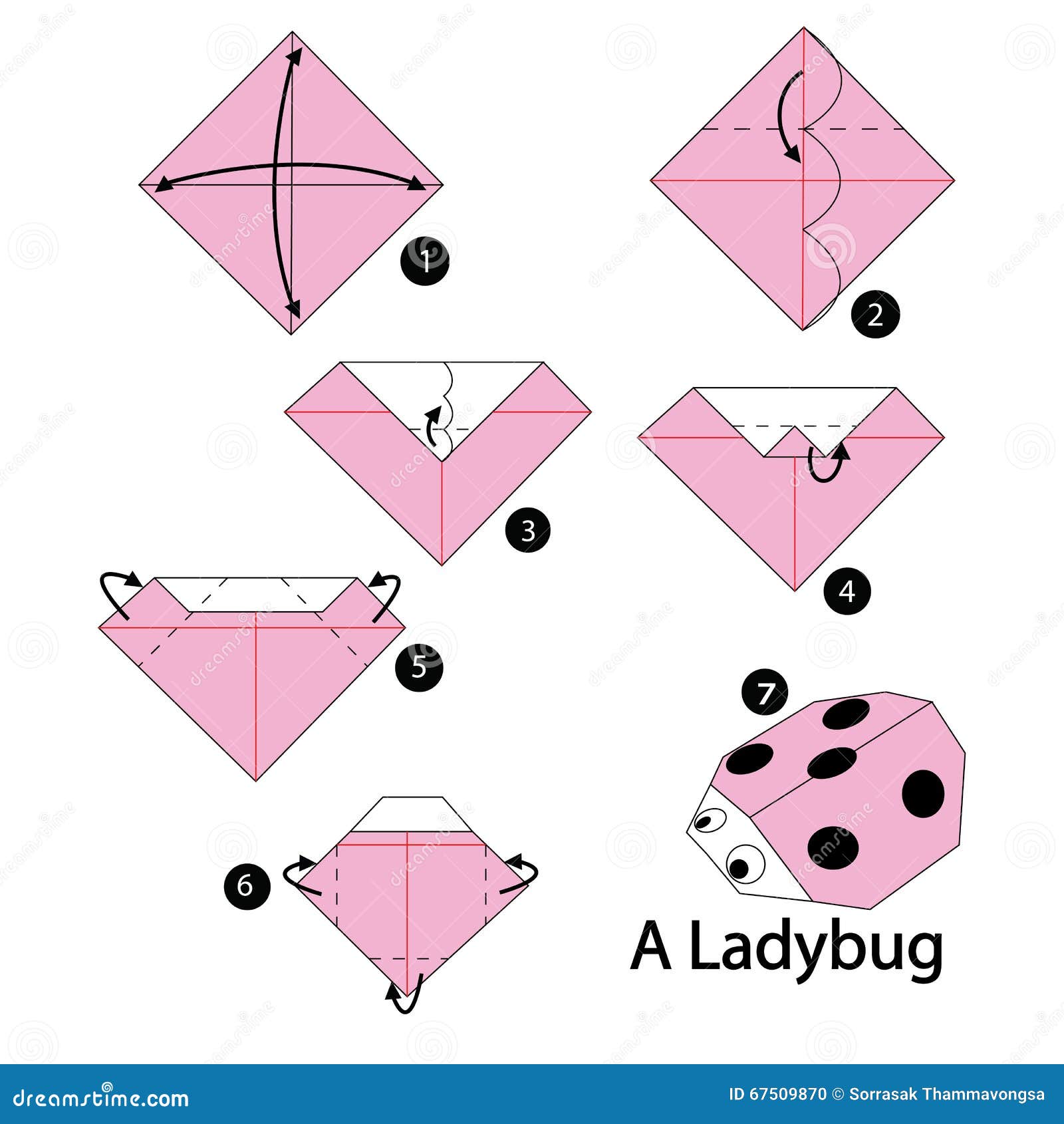 Step By Step Instructions How To Make Origami Ladybug Stock