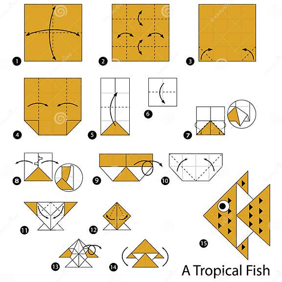 Step by Step Instructions How To Make Origami a Tropical Fis. Stock ...