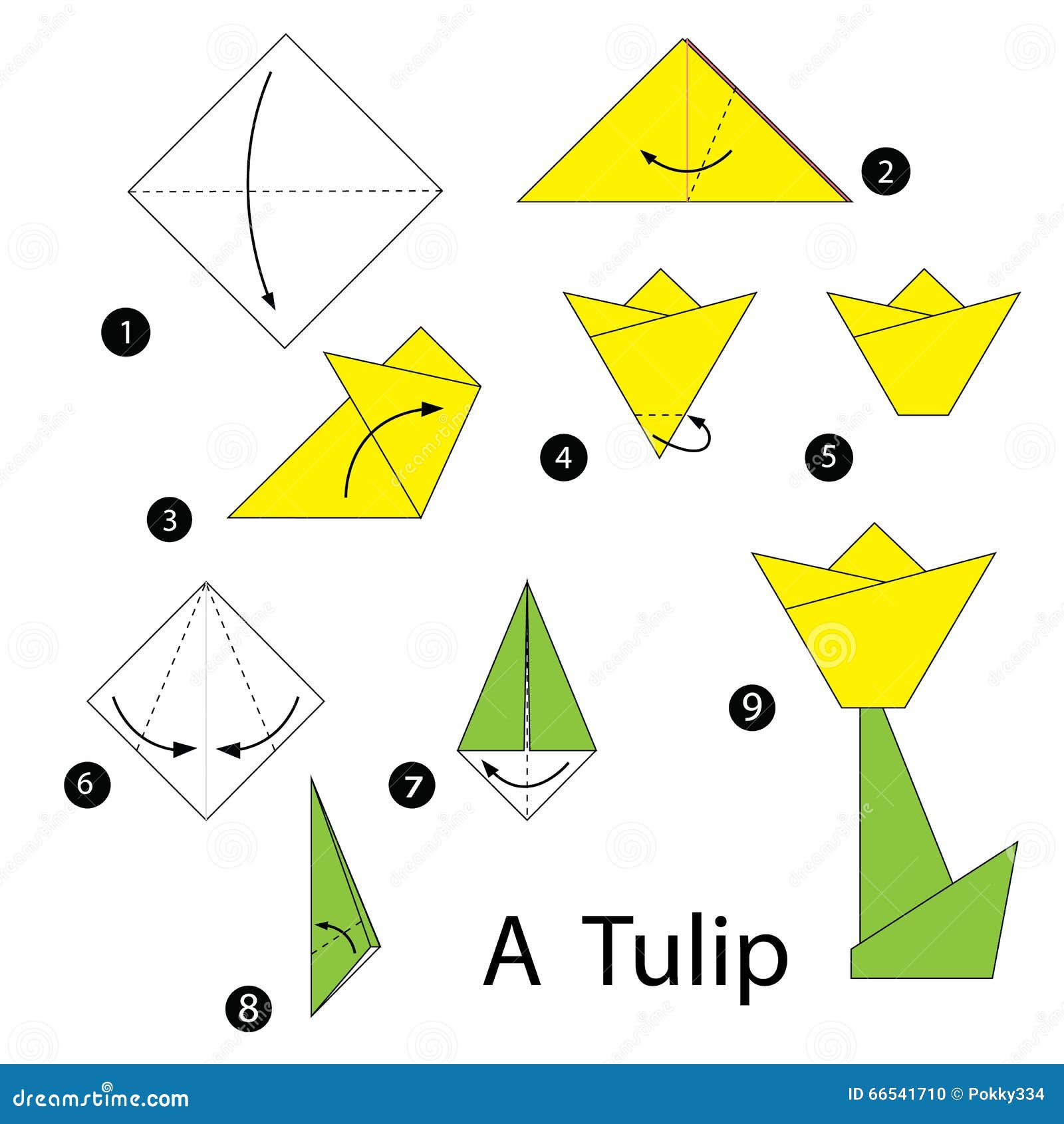 Step By Step Instructions How To Make Origami Tulip. Stock Illustration Illustration of