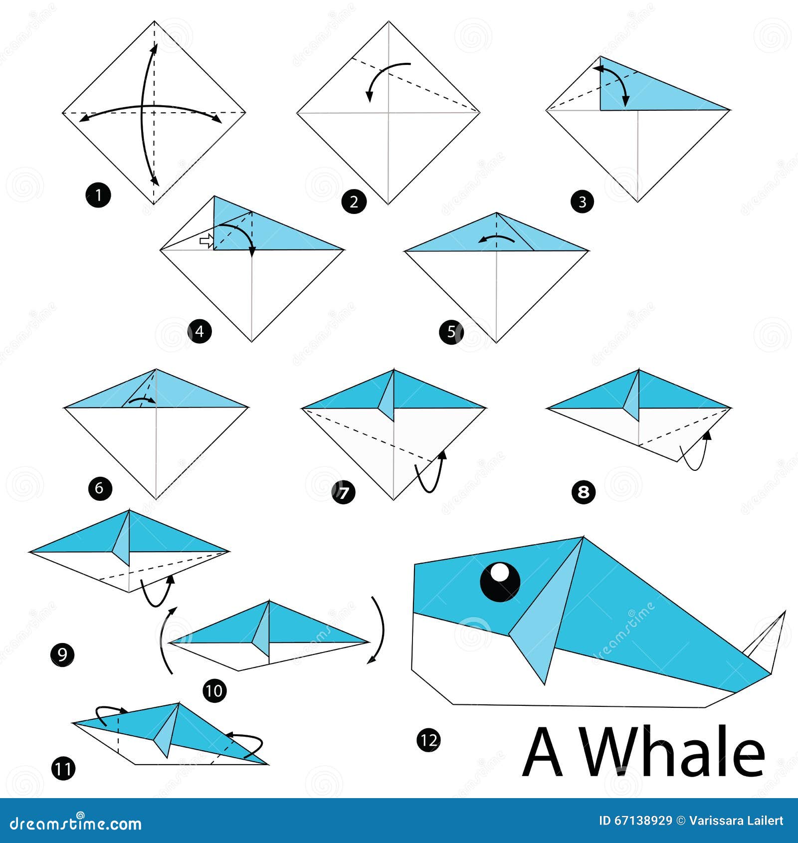 Step By Step Instructions How To Make Origami A Whale. Stock Vector Illustration of