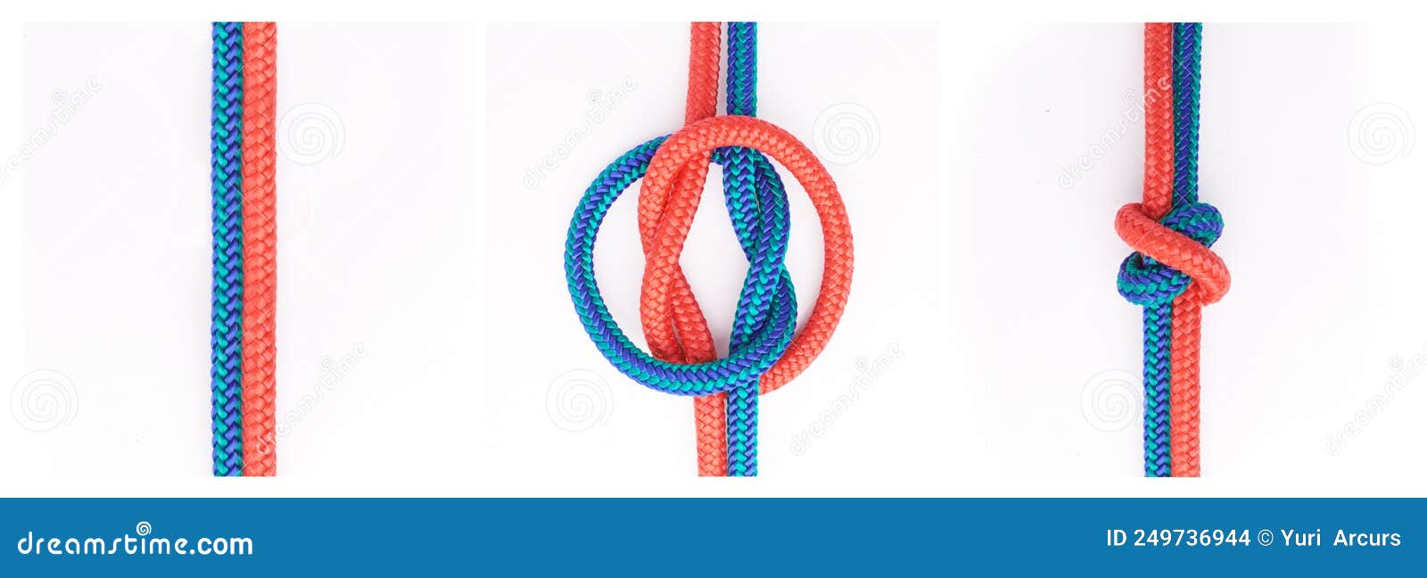 True Lovers Knot. Step by Step Studio Shot of How To Tie a Knot