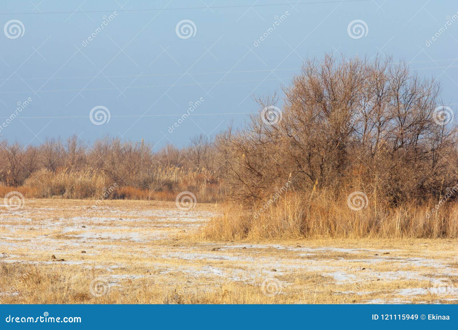 the steppe in the winter, the river or kazakhstan. kapchagai bakanas