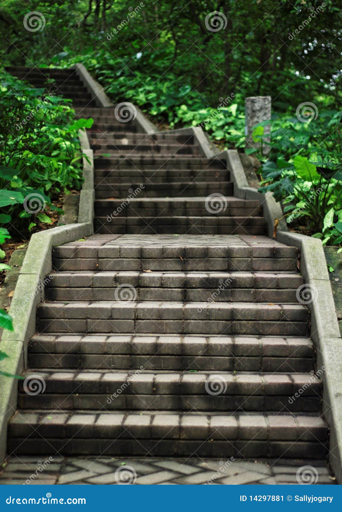 Steps stock image. Image of grey, green, steps, staircase - 14297881