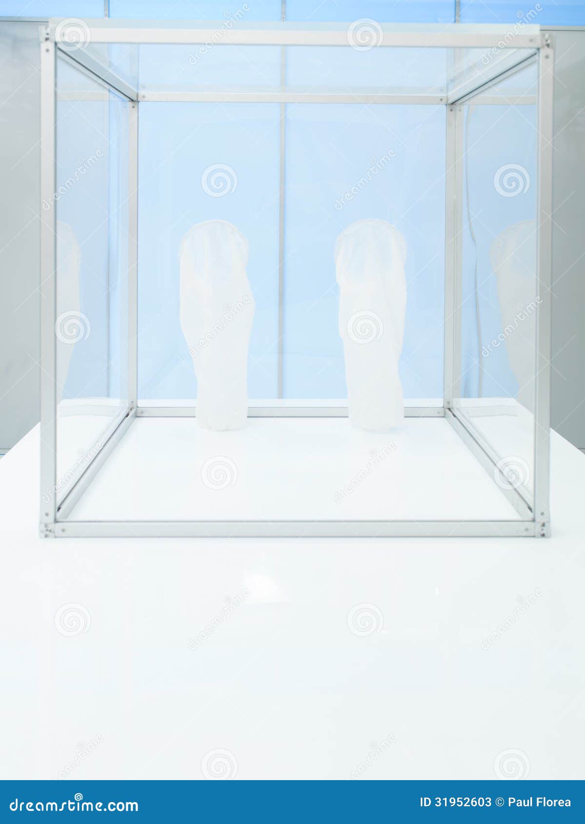 Sterile Chamber Inside a Lab Stock Image Image of profession, learn