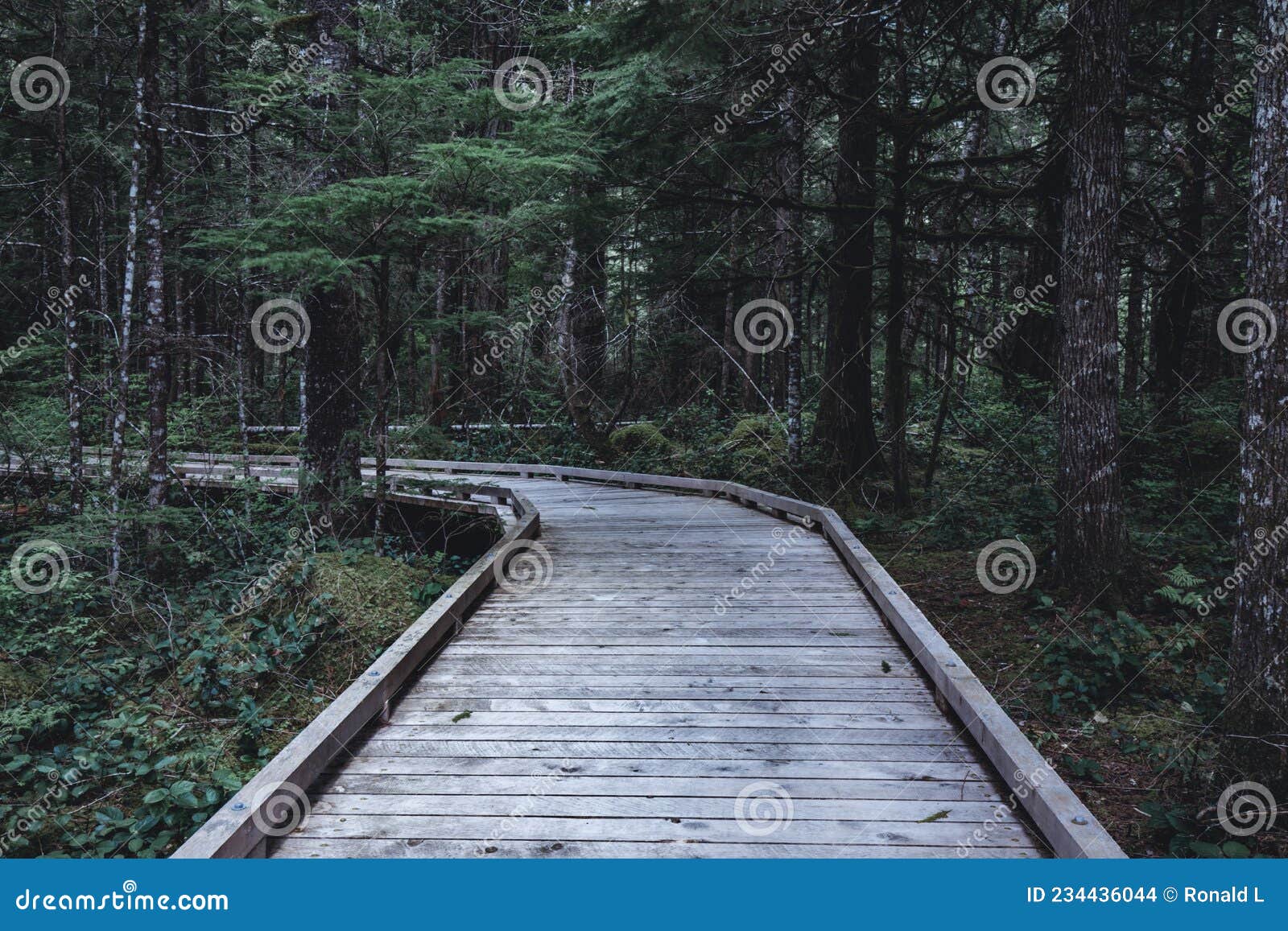 The Sterling Munro Overlook Trail at North Cascades National Park in  Washington State during Spring Stock Photo - Image of mountains, court:  234436044