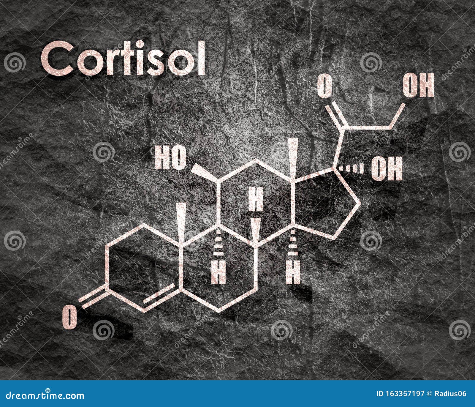 Best Darknet Market For Counterfeit