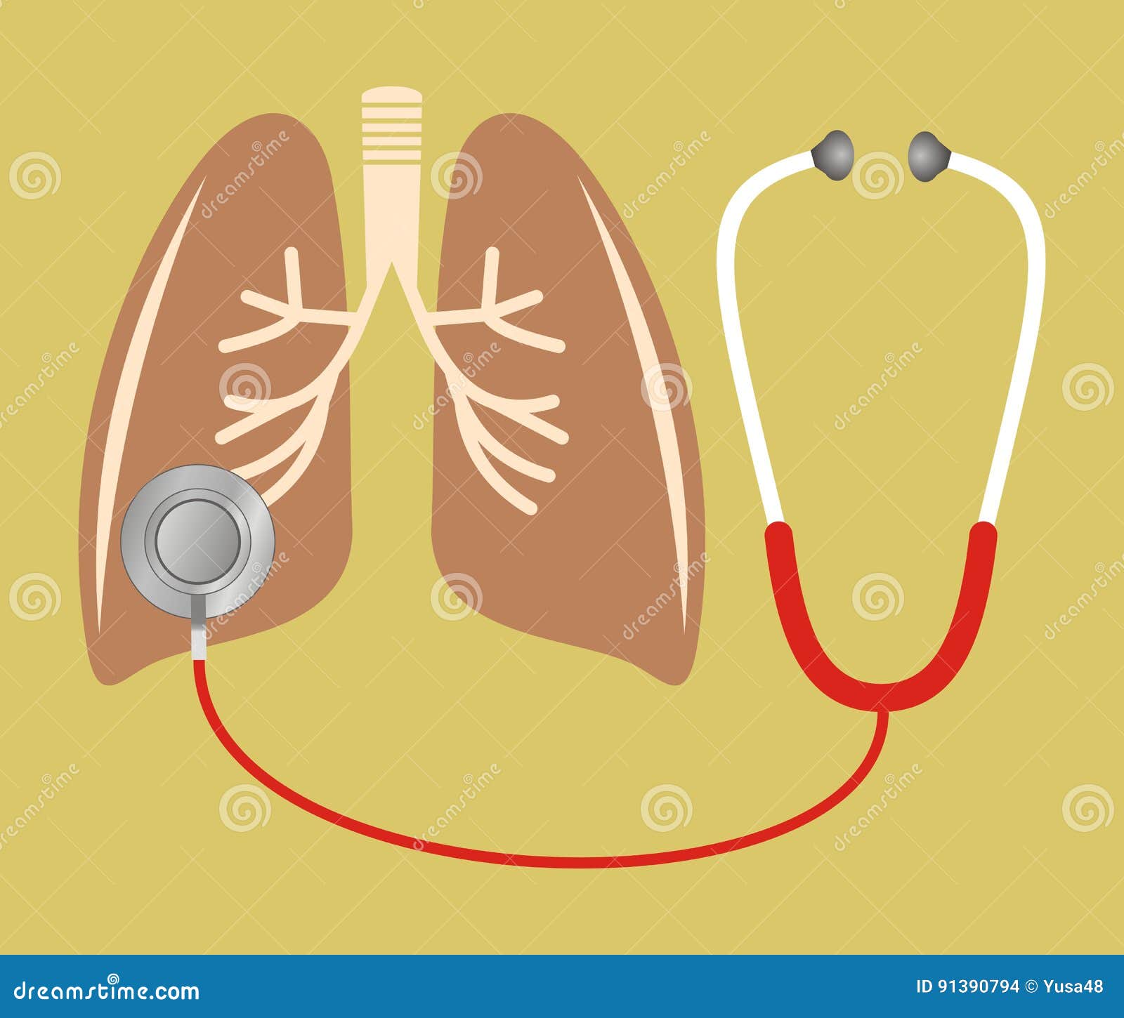 Stethoscope Checking on Lung Vector Stock Vector Illustration of care